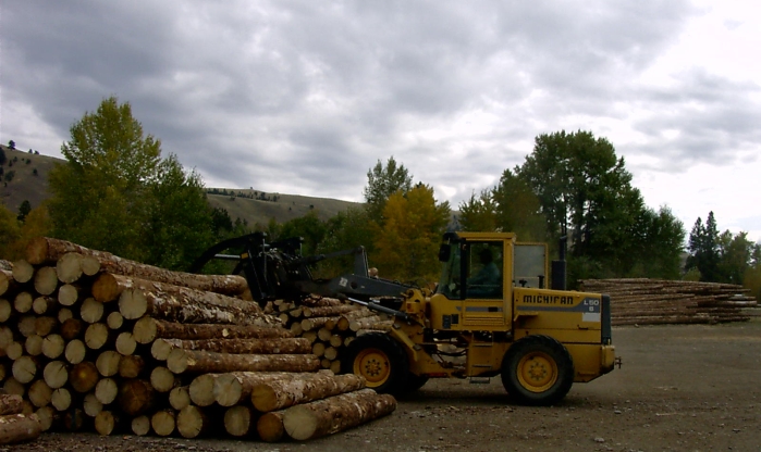 Grade A timber, Log Homes, log home builders, master log homes